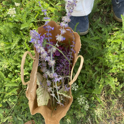 Erst Blumen sammeln ...