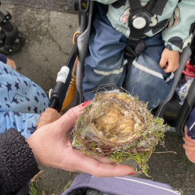 Ein Vogelnest von ganz nah